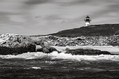 Driftwood Washes Ashore Near Pond Island Lighthouse -BW